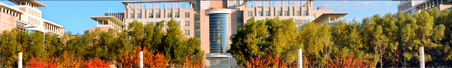 通栏图片